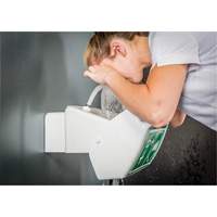 Eye/Face Wash, Wall-Mount Installation, Plastic Bowl Equipment World