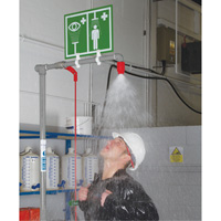 Combination Shower with Closed ABS Bowl & Top Inlet, Pedestal Equipment World