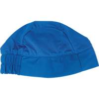 Cooling Skull Cap, Blue Equipment World