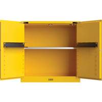 Utili-Guard+ Flammable Safety Cabinet, 30 gal., 1 Door, 43" W x 44" H x 22" D Equipment World
