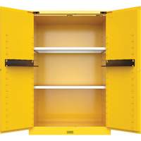 Utili-Guard+ Flammable Safety Cabinet, 45 gal., 2 Door, 43" W x 65" H x 22" D Equipment World