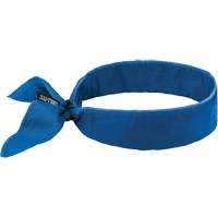 Chill-Its 6702 Cooling Headband with Embedded Polymers & Tie Closure, Blue Equipment World