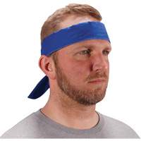 Chill-Its 6702 Cooling Headband with Embedded Polymers & Tie Closure, Blue Equipment World