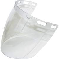 Visi&egrave;re 2CL, Polycarbonate, Teinte Transparent Equipment World