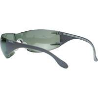 Adapt Lite Safety Glasses, Indoor/Outdoor Lens, Anti-Fog/Anti-Scratch, ANSI Z87+/Meets/Exceeds CSA Z94.3 Equipment World