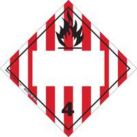 Flammable Solids TDG Placard, Adhesive Vinyl Equipment World