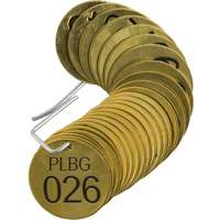 Numbered "PLPG" Valve Tags, # 026-050, Brass, 1.5" dia Equipment World