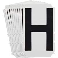 Quick-Align<sup>®</sup>Individual Gothic Number and Letter Labels, H, 4" H, Black SZ996 | Equipment World