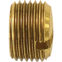 Pipe Plug (Slotted), 1/8" Dia., Brass Equipment World