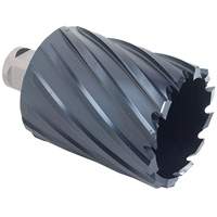 Fraise annulaire ICECUT, Diam&egrave;tre de 1/2", Chrome-aluminium, Profondeur de la coupe de 2", Tige 3/4" Equipment World