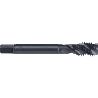 Taraud &agrave; cannelure en spirale 45°, Acier rapide au cobalt, Filet de 6-32, 2" l Equipment World