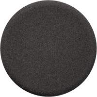 Finishing Pad, 3" Dia. Equipment World