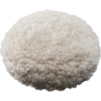 Cutting Pad, 3" Dia. Equipment World