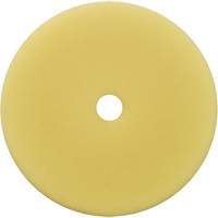 Polishing Pad, 7" Dia. Equipment World
