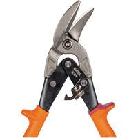 Cisaille d&eacute;sax&eacute;e &agrave; pivots multiples Equipment World