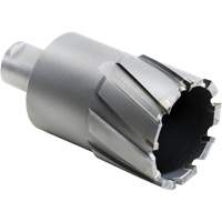 Outil de coupe annulaire, Diam&egrave;tre de 27,5 mm, Carbure, Profondeur de la coupe de 4" Equipment World