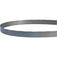 Welded Bandsaw Blade, Bi-Metal, 14' L x 1" W x 4 - 6 TPI Equipment World