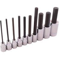 SAE Hex Head Socket Set, Hex, 1/2"/3/8" Drive, 10 Pcs Equipment World