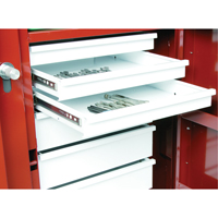 Rolling Work Bench, 49-7/8" W x 40-5/8" H x 26-7/8" D, 24.6 Cubic Feet Capacity Equipment World