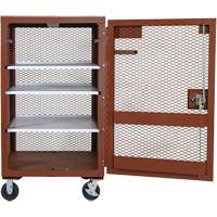 Mobile Mesh Cabinet, Steel, 22 Cubic Feet, Red Equipment World