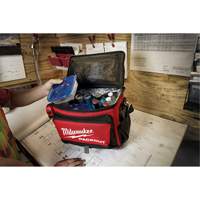 Packout™ Cooler, 20.5 L Capacity TEQ864 | Equipment World