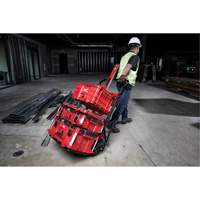 Packout 2-Wheel Cart Equipment World