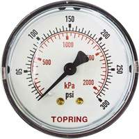 Replacement Pressure Gauge, 2" , 0 - 175 psi, Back Mount, Analogue Equipment World