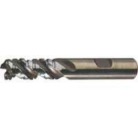 PM Plus Single End Roughers, Powder Metal, 3-Flute, Centre Cutting, Square End, 3/4" Dia. Equipment World