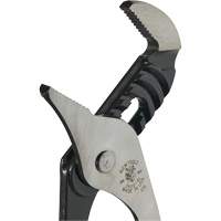 Groove Joint Pliers, 10" Equipment World