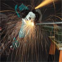 Angle Grinder with AC/DC Switch, 5", 10.5 A, 11000 RPM Equipment World