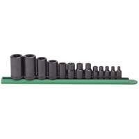 External Torx&reg; Socket Set, 1/2"/1/4"/3/8" Drive Equipment World