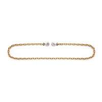 Chaîne d'attache avec crochets &agrave; manille  Equipment World