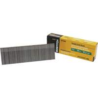 Clous &agrave; t&ecirc;te perdue Equipment World