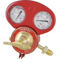 153 Series - Gauge Protectors Equipment World