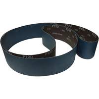 Sanding Belt, 60 Grit Equipment World