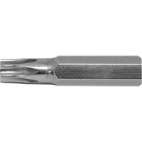 Stubby Multi-Bit Screwdriver -Replacement Bit, Torx, 15, 1/4" Drive Equipment World