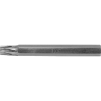 Multique Multi-Bit Screwdriver -Replacement Bit, Torx, 6, 3/16" Drive Equipment World
