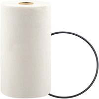 P7247 Spin-On Coolant Filter with BTE Formula Equipment World