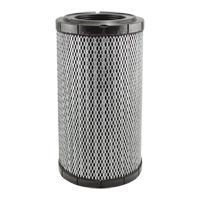 RS5761 Radial Seal Cab Air Element Equipment World