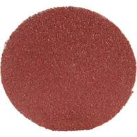 Roloc Disc 361F, 1-1/2" Dia., P100 Grit, Aluminum Oxide Equipment World