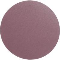 PSA Cloth Disc 348D, 12" Dia., 60 Grit, Aluminum Oxide, X-Weight Equipment World