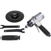 Vertical Sander, 7" Dia., 1/4" NPTF Inlet, 4500 RPM Equipment World