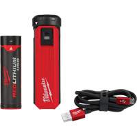Trousse d'alimentation et de chargeur USB Redlithium, 4 V, Lithium-ion Equipment World