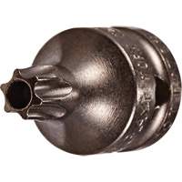 Embout &agrave; ins&eacute;rer, Torx inviolable, 8 x 3/4" lo, Prise 1/4" Equipment World
