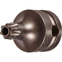 Embout &agrave; ins&eacute;rer, Torx inviolable, 25 x 1" lo, Prise 3/8" Equipment World