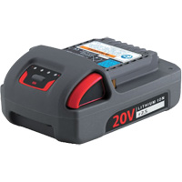 Batterie de s&eacute;rie IQV20, Lithium-ion, 20 V, 2,5 Ah Equipment World