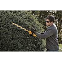 Taille-haie sans fil Max, 22", 20 V, &agrave; pile Equipment World