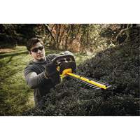Taille-haie sans fil Max, 22", 20 V, &agrave; pile Equipment World