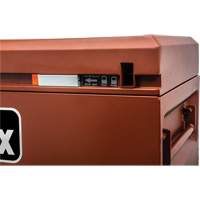 Site-Vault Chest, 30" x 20" x 19-3/4", Steel, Orange Equipment World