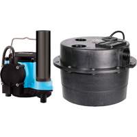 Drainosaur&reg; Sump Pump, 29 GPM, 115 V, 9 A, 1/3 HP Equipment World